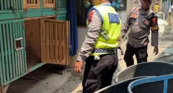 Aduan Sabung Ayam Masuk via 110, Tim URC Bareskrim Polres Tegal Bergerak #ReserseBekerja