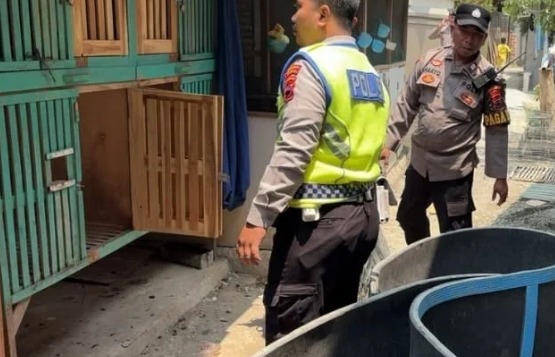 Aduan Sabung Ayam Masuk via 110, Tim URC Bareskrim Polres Tegal Bergerak #ReserseBekerja